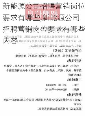 新能源公司招聘营销岗位要求有哪些,新能源公司招聘营销岗位要求有哪些内容-第2张图片-苏希特新能源