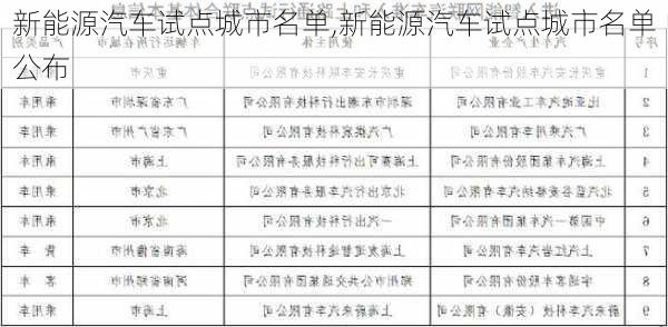 新能源汽车试点城市名单,新能源汽车试点城市名单公布-第2张图片-苏希特新能源