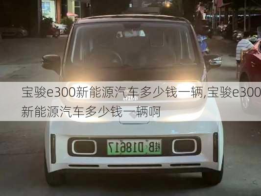 宝骏e300新能源汽车多少钱一辆,宝骏e300新能源汽车多少钱一辆啊-第3张图片-苏希特新能源