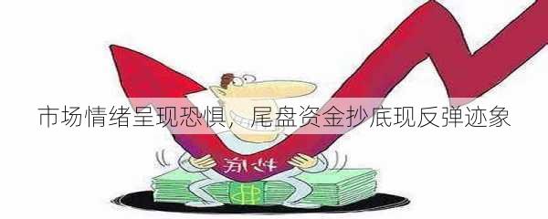 市场情绪呈现恐惧，尾盘资金抄底现反弹迹象