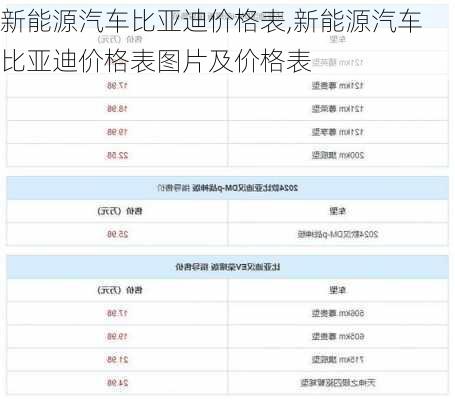 新能源汽车比亚迪价格表,新能源汽车比亚迪价格表图片及价格表-第1张图片-苏希特新能源