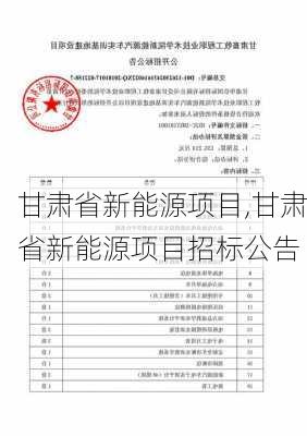 甘肃省新能源项目,甘肃省新能源项目招标公告-第1张图片-苏希特新能源