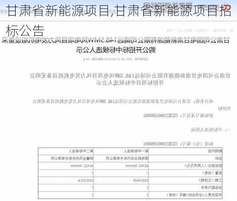 甘肃省新能源项目,甘肃省新能源项目招标公告-第2张图片-苏希特新能源