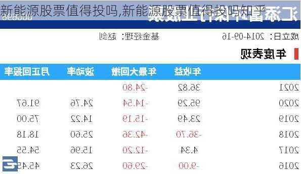 新能源股票值得投吗,新能源股票值得投吗知乎-第2张图片-苏希特新能源