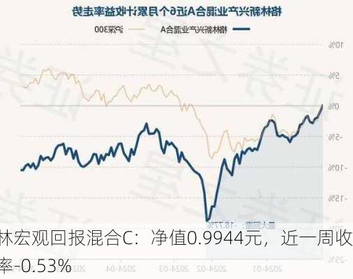 格林宏观回报混合C：净值0.9944元，近一周收益率-0.53%-第2张图片-苏希特新能源