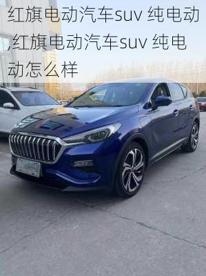 红旗电动汽车suv 纯电动,红旗电动汽车suv 纯电动怎么样-第3张图片-苏希特新能源