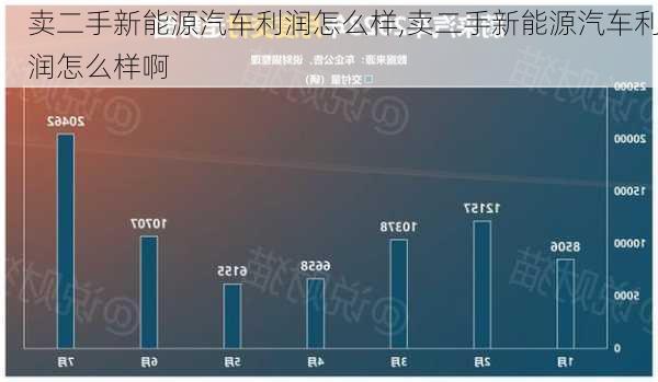 卖二手新能源汽车利润怎么样,卖二手新能源汽车利润怎么样啊-第1张图片-苏希特新能源