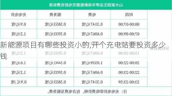 新能源项目有哪些投资小的,开个充电站要投资多少钱-第2张图片-苏希特新能源