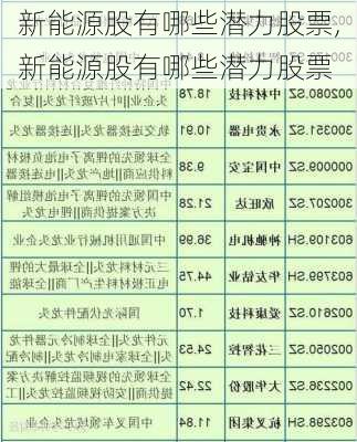 新能源股有哪些潜力股票,新能源股有哪些潜力股票-第2张图片-苏希特新能源