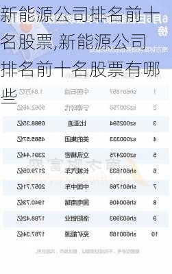 新能源公司排名前十名股票,新能源公司排名前十名股票有哪些-第1张图片-苏希特新能源