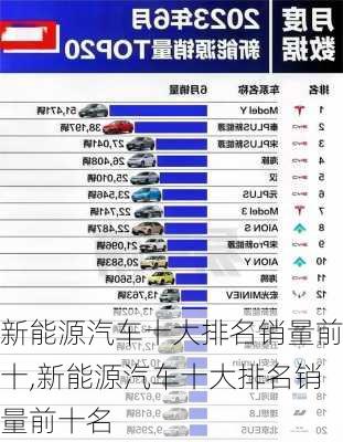 新能源汽车十大排名销量前十,新能源汽车十大排名销量前十名-第3张图片-苏希特新能源