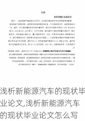 浅析新能源汽车的现状毕业论文,浅析新能源汽车的现状毕业论文怎么写-第2张图片-苏希特新能源