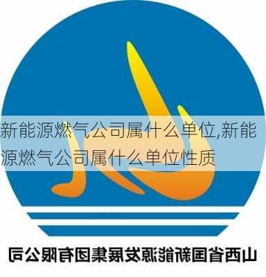 新能源燃气公司属什么单位,新能源燃气公司属什么单位性质-第3张图片-苏希特新能源