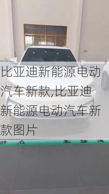 比亚迪新能源电动汽车新款,比亚迪新能源电动汽车新款图片-第3张图片-苏希特新能源