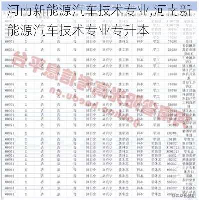 河南新能源汽车技术专业,河南新能源汽车技术专业专升本-第2张图片-苏希特新能源