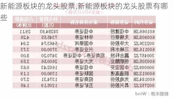 新能源板块的龙头股票,新能源板块的龙头股票有哪些-第2张图片-苏希特新能源