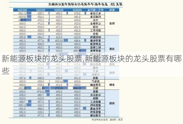 新能源板块的龙头股票,新能源板块的龙头股票有哪些-第1张图片-苏希特新能源