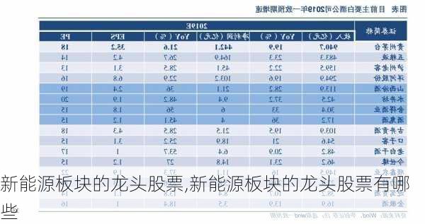 新能源板块的龙头股票,新能源板块的龙头股票有哪些-第3张图片-苏希特新能源