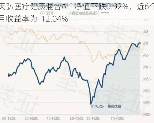 天弘医疗健康混合A：净值下跌0.92%，近6个月收益率为-12.04%-第1张图片-苏希特新能源