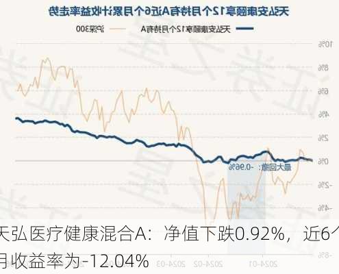 天弘医疗健康混合A：净值下跌0.92%，近6个月收益率为-12.04%-第2张图片-苏希特新能源