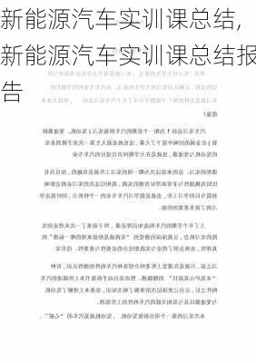 新能源汽车实训课总结,新能源汽车实训课总结报告-第1张图片-苏希特新能源