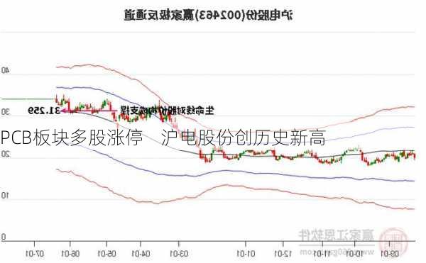 PCB板块多股涨停    沪电股份创历史新高