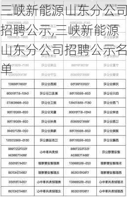 三峡新能源山东分公司招聘公示,三峡新能源山东分公司招聘公示名单-第3张图片-苏希特新能源