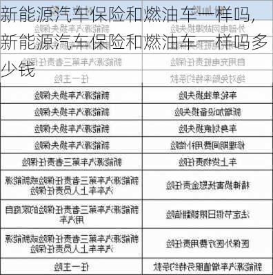 新能源汽车保险和燃油车一样吗,新能源汽车保险和燃油车一样吗多少钱-第2张图片-苏希特新能源