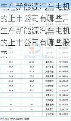 生产新能源汽车电机的上市公司有哪些,生产新能源汽车电机的上市公司有哪些股票-第3张图片-苏希特新能源