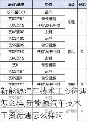 新能源汽车技术工资待遇怎么样,新能源汽车技术工资待遇怎么样啊-第1张图片-苏希特新能源