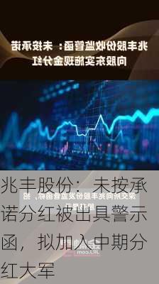 兆丰股份：未按承诺分红被出具警示函，拟加入中期分红大军