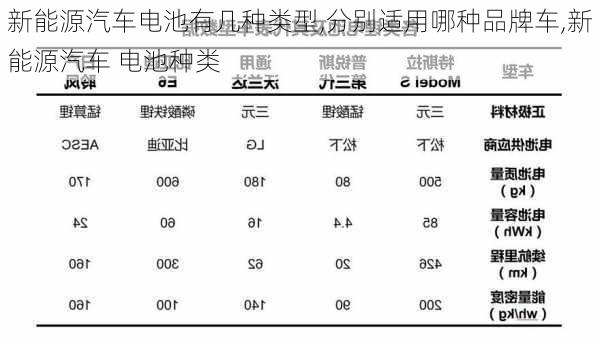 新能源汽车电池有几种类型,分别适用哪种品牌车,新能源汽车 电池种类-第2张图片-苏希特新能源