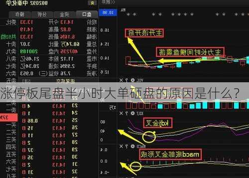 涨停板尾盘半小时大单砸盘的原因是什么？-第1张图片-苏希特新能源