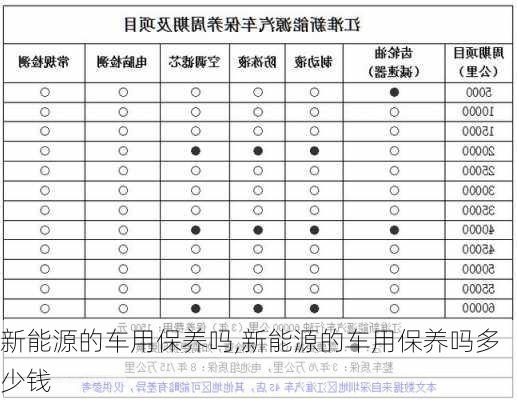 新能源的车用保养吗,新能源的车用保养吗多少钱-第3张图片-苏希特新能源