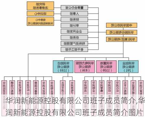 华润新能源控股有限公司班子成员简介,华润新能源控股有限公司班子成员简介图片-第2张图片-苏希特新能源