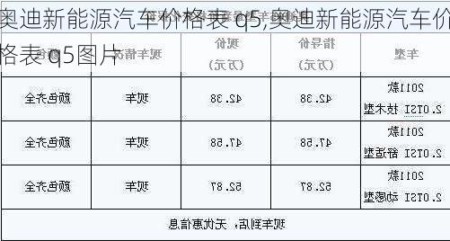 奥迪新能源汽车价格表 q5,奥迪新能源汽车价格表 q5图片-第2张图片-苏希特新能源