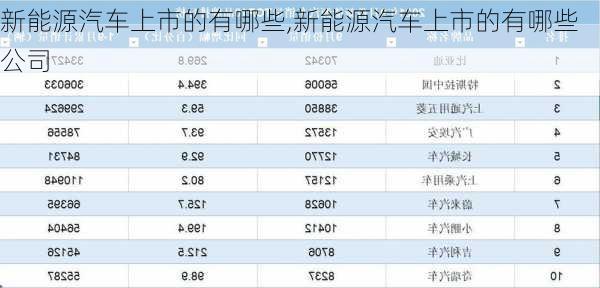 新能源汽车上市的有哪些,新能源汽车上市的有哪些公司-第1张图片-苏希特新能源