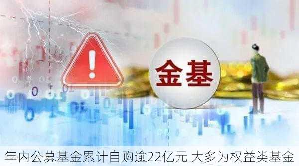 年内公募基金累计自购逾22亿元 大多为权益类基金-第3张图片-苏希特新能源