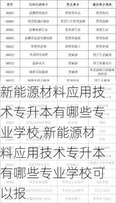 新能源材料应用技术专升本有哪些专业学校,新能源材料应用技术专升本有哪些专业学校可以报-第2张图片-苏希特新能源