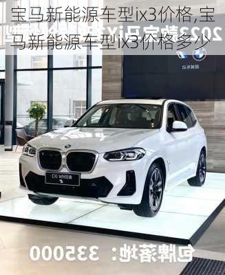 宝马新能源车型ix3价格,宝马新能源车型ix3价格多少-第2张图片-苏希特新能源