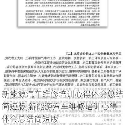 新能源汽车维修培训心得体会总结简短版,新能源汽车维修培训心得体会总结简短版-第1张图片-苏希特新能源