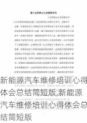 新能源汽车维修培训心得体会总结简短版,新能源汽车维修培训心得体会总结简短版-第2张图片-苏希特新能源