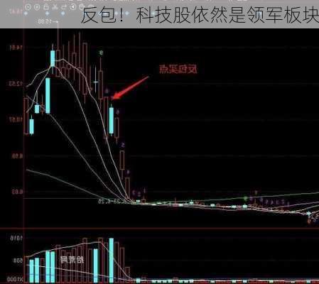 反包！科技股依然是领军板块-第1张图片-苏希特新能源