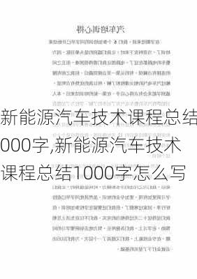 新能源汽车技术课程总结1000字,新能源汽车技术课程总结1000字怎么写-第2张图片-苏希特新能源