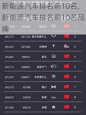 新能源汽车排名前10名,新能源汽车排名前10名品牌-第3张图片-苏希特新能源