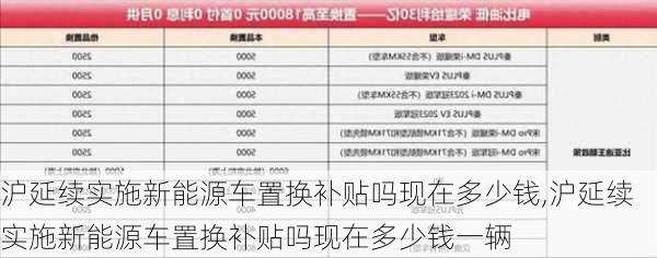 沪延续实施新能源车置换补贴吗现在多少钱,沪延续实施新能源车置换补贴吗现在多少钱一辆-第3张图片-苏希特新能源