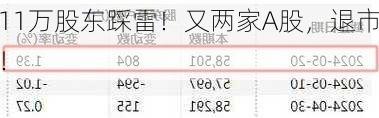 11万股东踩雷！又两家A股，退市！-第3张图片-苏希特新能源