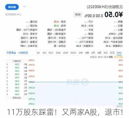 11万股东踩雷！又两家A股，退市！-第2张图片-苏希特新能源