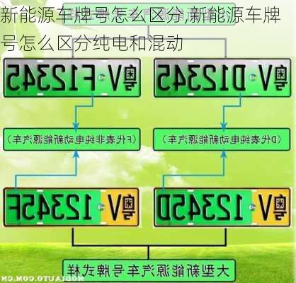 新能源车牌号怎么区分,新能源车牌号怎么区分纯电和混动-第2张图片-苏希特新能源