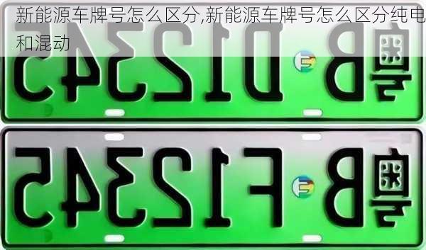 新能源车牌号怎么区分,新能源车牌号怎么区分纯电和混动